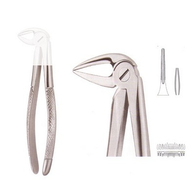 Extracting Forceps